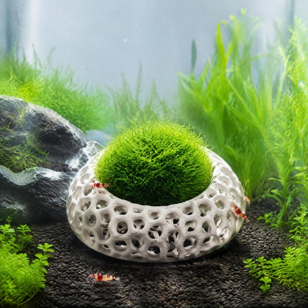 Planted Aquarium Moss - Dwarf Shrimp Habitat 2-pack Shrimp Caves