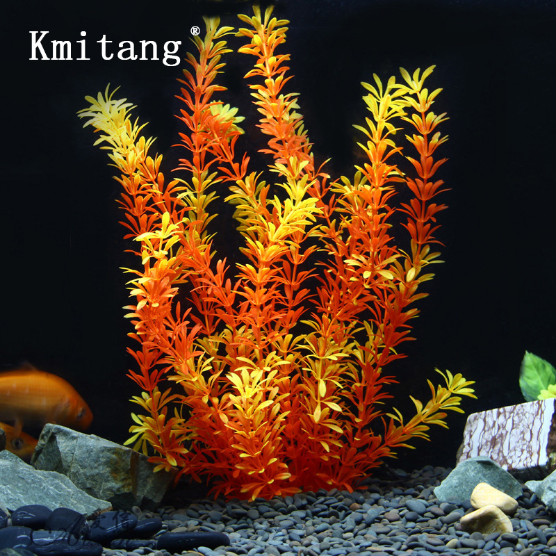 Aquarium Plant Grass - 100Cm Thực Vật Nhiệt Đới Lớn