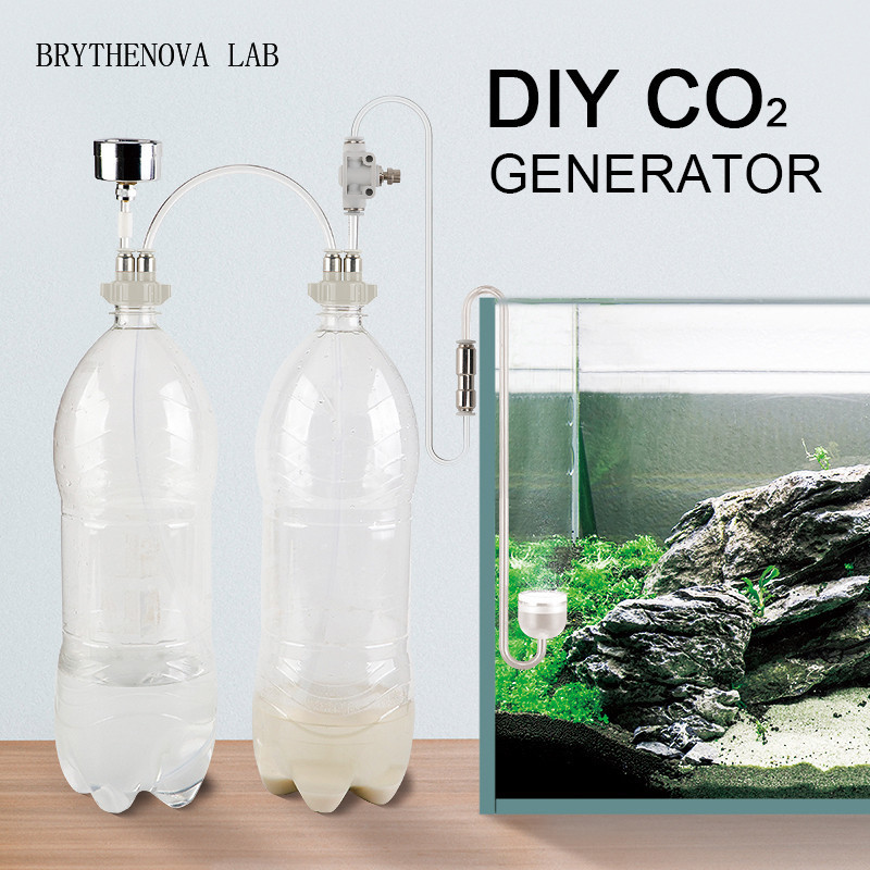 CO2 Generator Aquarium Planted - đánh giá và giá Planted Aquarium Moss