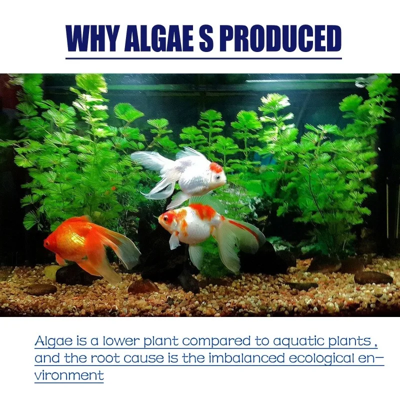 50g High Efficiency Algaecide  - đánh giá và giá Planted Aquarium Moss