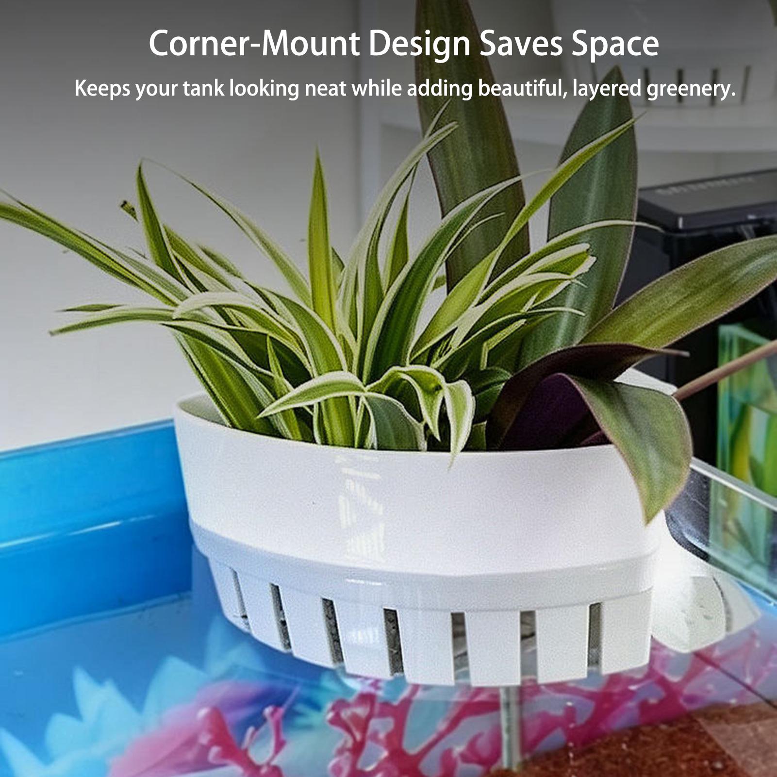 Aquarium Plant Basket Hydropon - đánh giá và giá Aquarium Planted Background