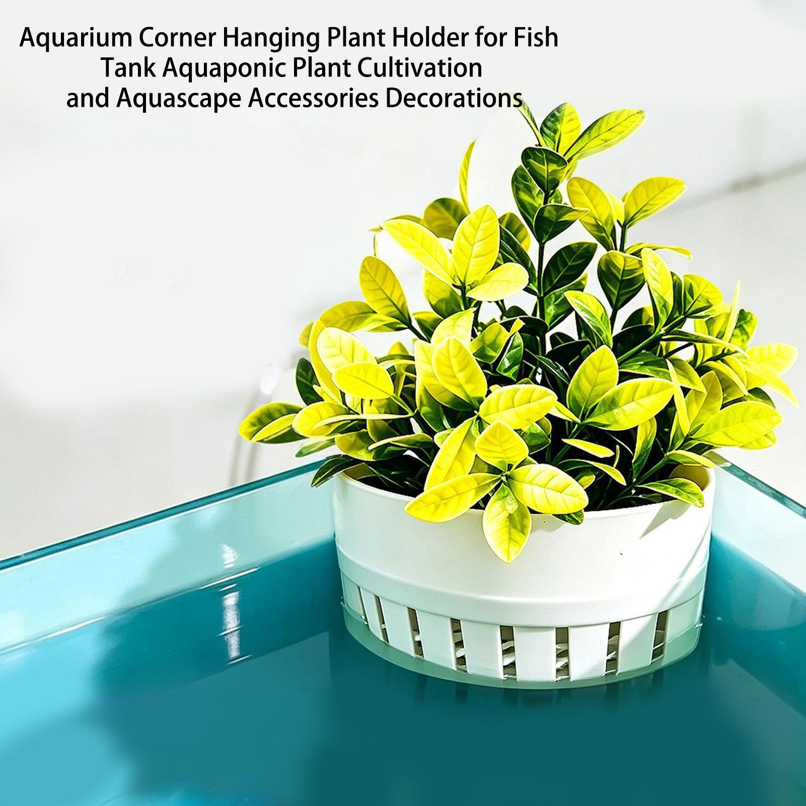 Aquarium Plant Basket Hydropon - đánh giá và giá Aquarium Planted Background