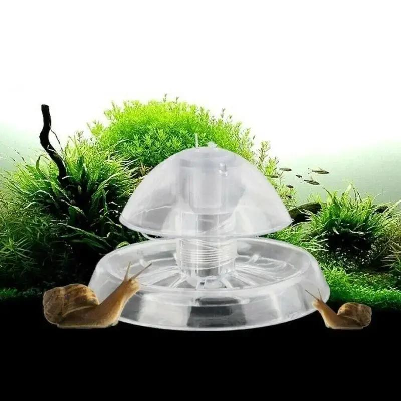 2026 New 6/8CM Clear Plastic S - đánh giá và giá Planted Aquarium Tools