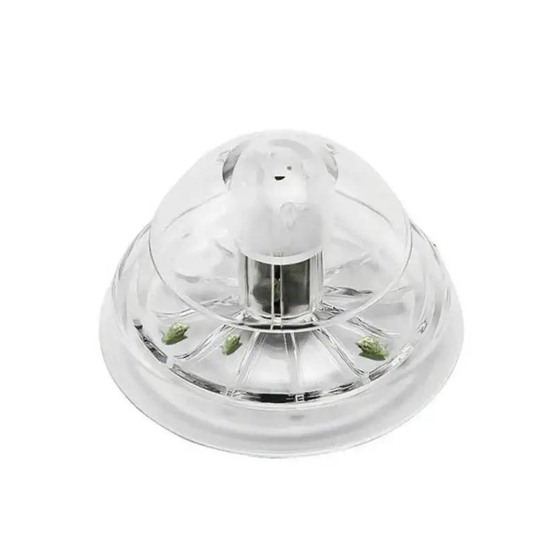 2026 New 6/8CM Clear Plastic S - đánh giá và giá Planted Aquarium Tools