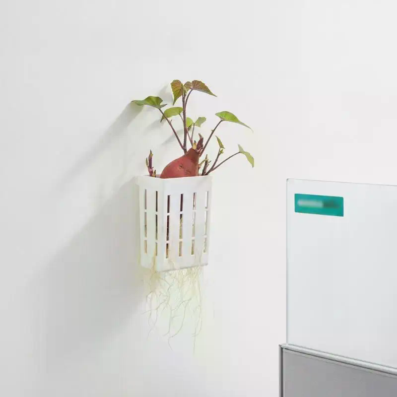 1Pcs Hydroponic Support Basket - đánh giá và giá Aquarium Plant Grass