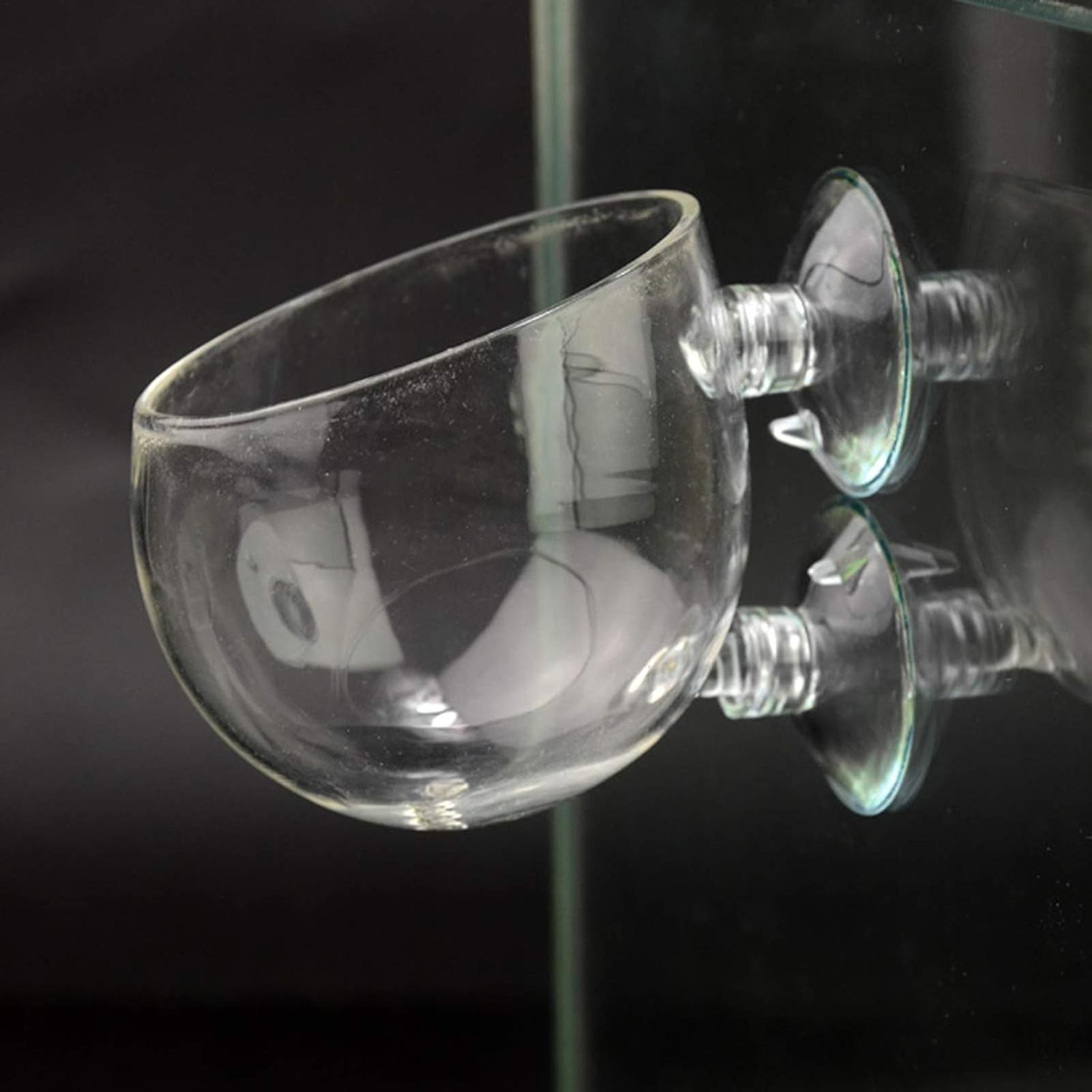 Aquarium Plant Holder Glass Aq - đánh giá và giá Planted Aquarium Maintenance