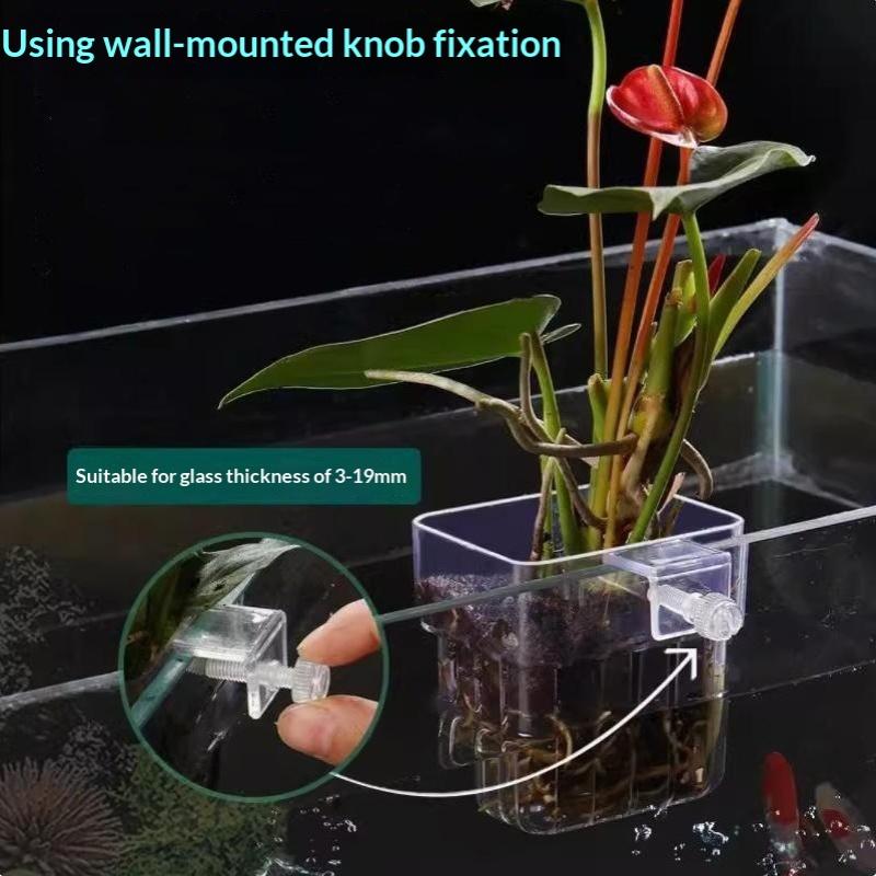 1Pcs Multiple Plant Landscape  - đánh giá và giá Aquarium Plant Grass