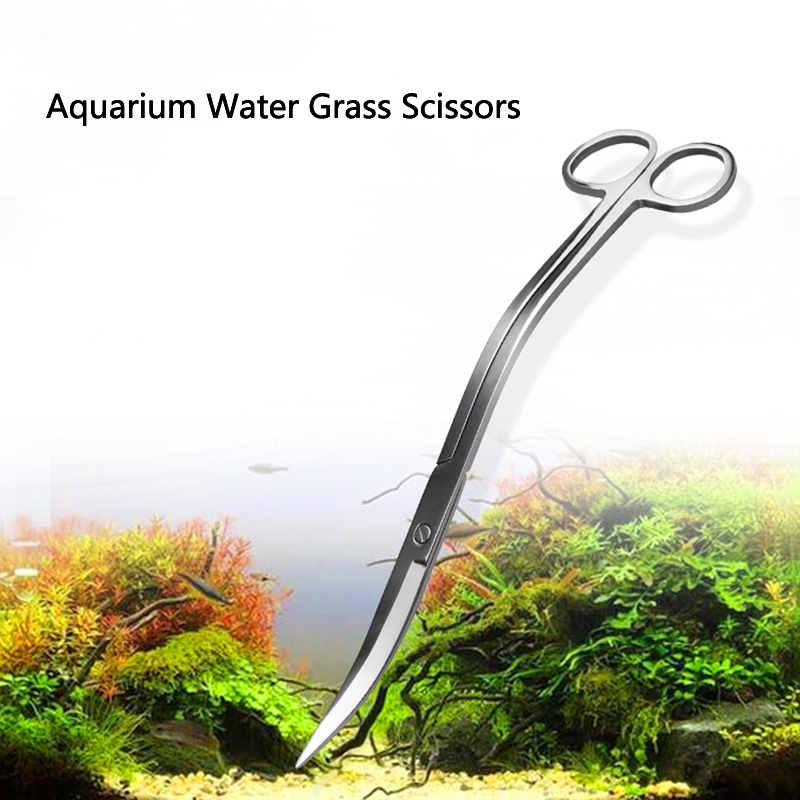 24Cm Inox Cong Bể Cá Kéo Bể Cá - đánh giá và giá Aquarium Plant Grass