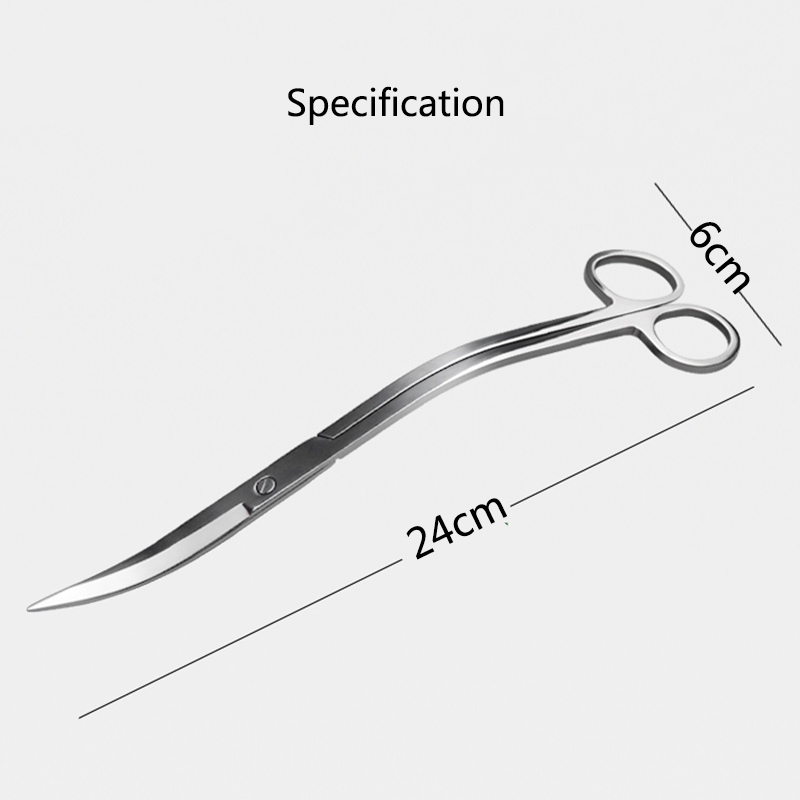 24Cm Inox Cong Bể Cá Kéo Bể Cá - đánh giá và giá Aquarium Plant Grass