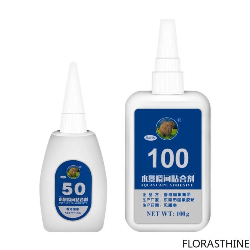 2PCS 5PCS /3/ Moss Clear Glues - đánh giá và giá Planted Aquarium Moss