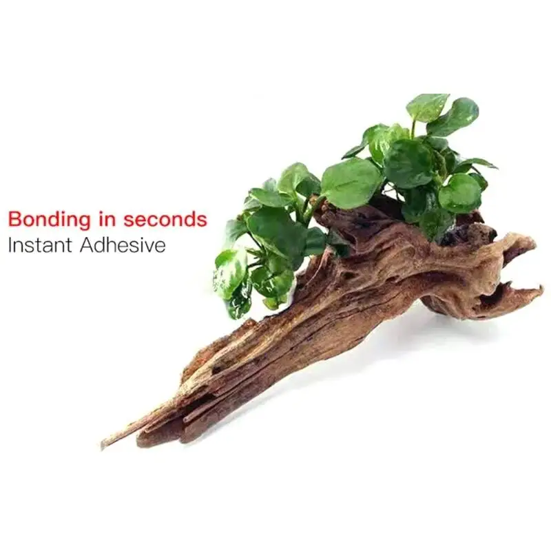2PCS 5PCS /3/ Moss Clear Glues - đánh giá và giá Planted Aquarium Moss