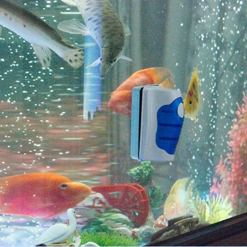 Fish Tank Glass Scraper Cleane - đánh giá và giá Planted Aquarium Tools
