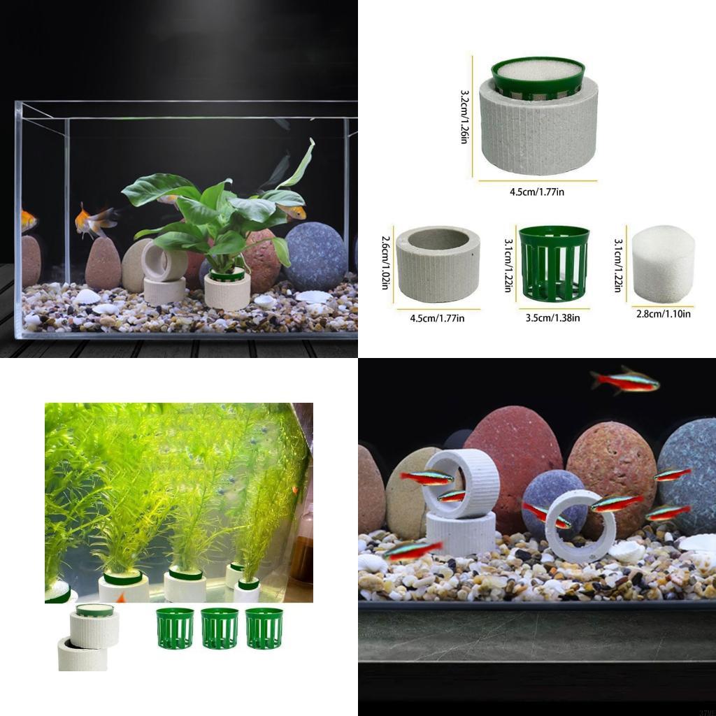 37ME 10 Chiếc Bể Cá Vật Có Cố  - đánh giá và giá Aquarium Planted Background