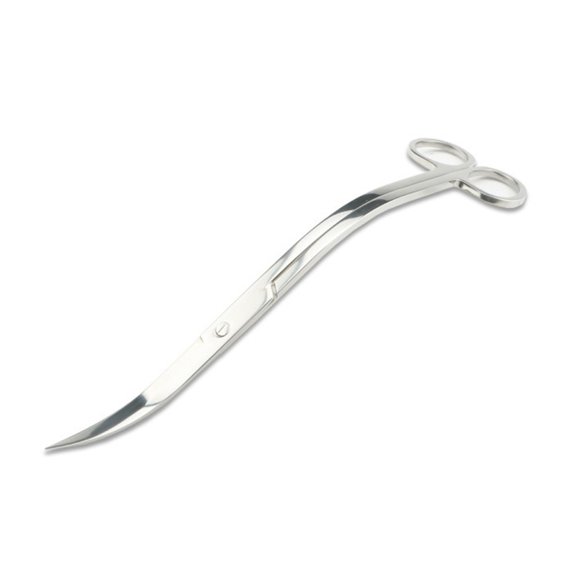 Aquarium Scissors Tweezers Too - đánh giá và giá Planted Aquarium Tools