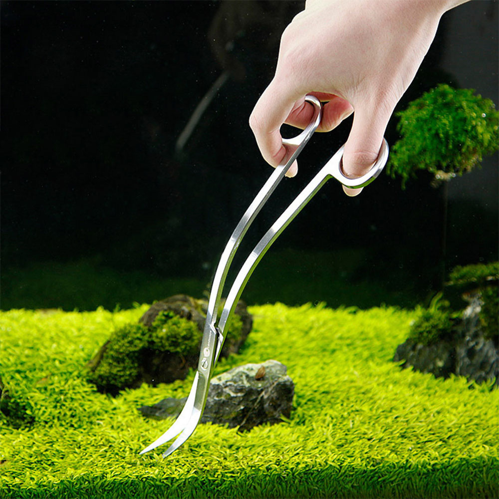 Aquarium Accessories Hard Stai - đánh giá và giá Planted Aquarium Tools