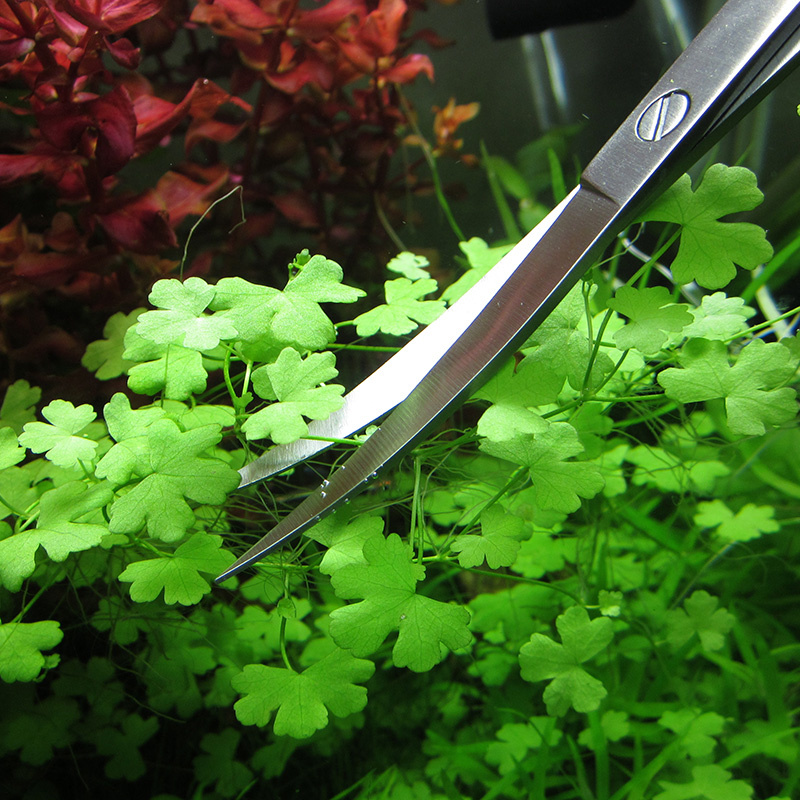 Aquarium Accessories Hard Stai - đánh giá và giá Planted Aquarium Tools