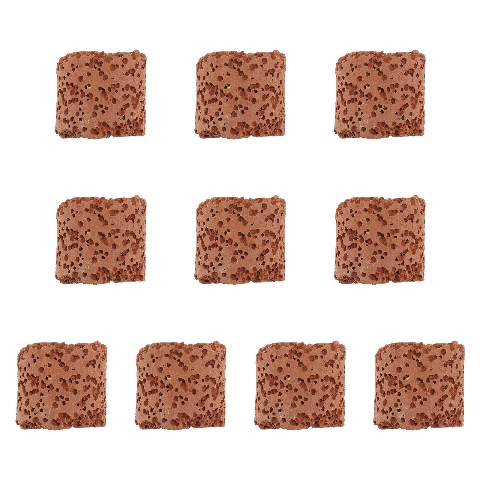 10Pcs Plant Ring for Aquarium  - đánh giá và giá Aquarium Plant Grass