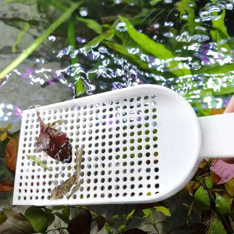 Aquarium Fish Tank Debris Scoo - đánh giá và giá Planted Aquarium Tools