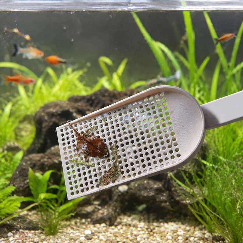 Aquarium Fish Tank Debris Scoo - đánh giá và giá Planted Aquarium Tools