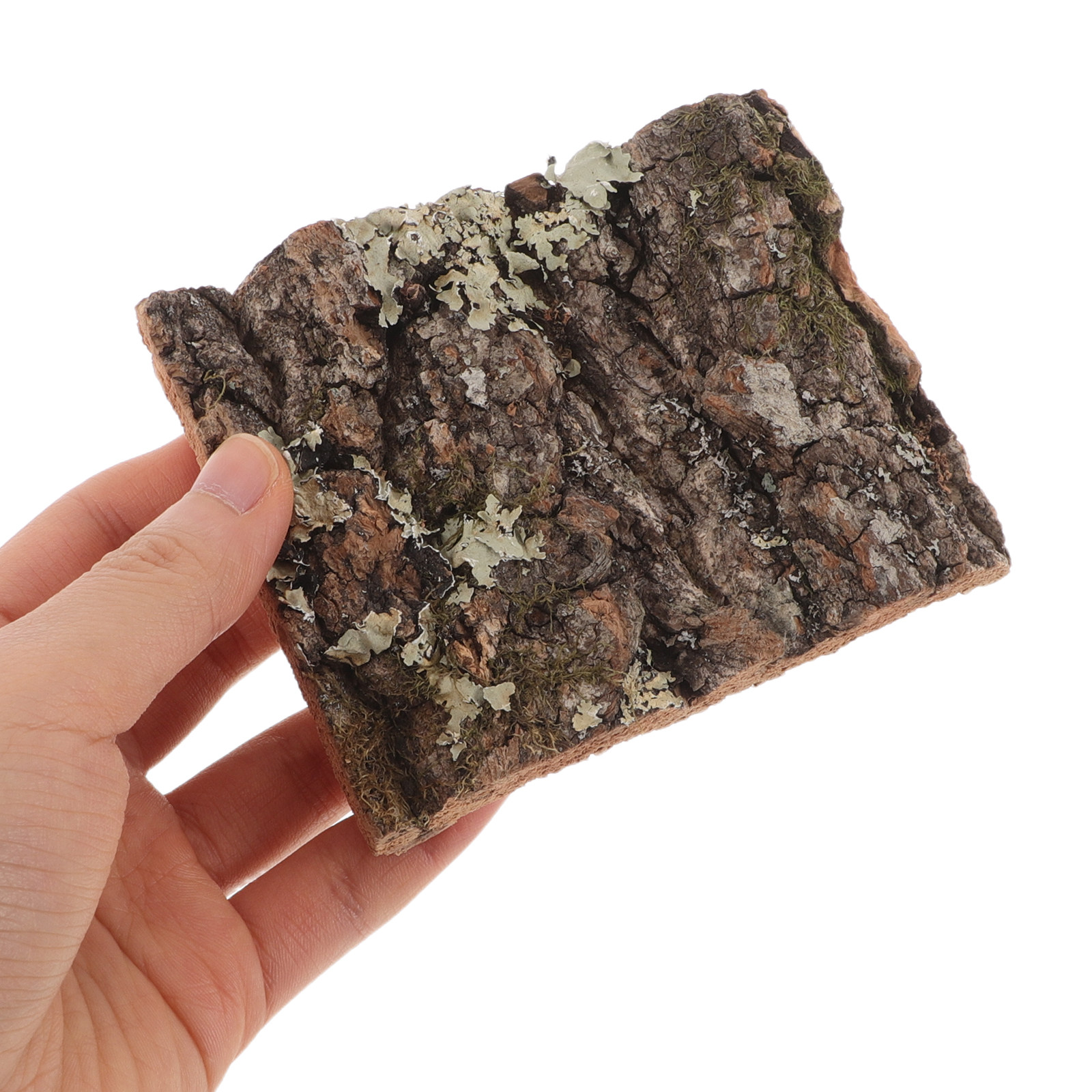 Cork Bark Tree Bark for Reptil - đánh giá và giá Aquarium Planted Background