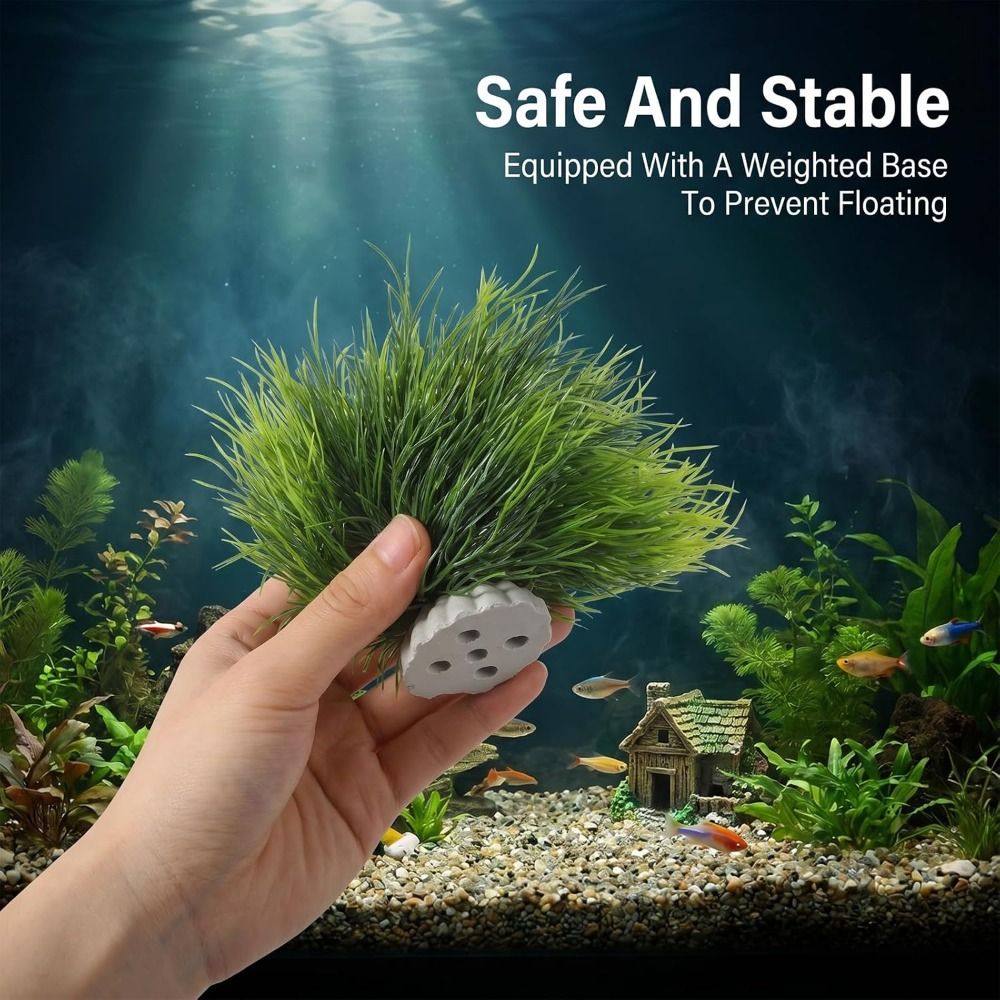 Non-Toxic Artificial Aquarium  - đánh giá và giá Planted Aquarium Maintenance