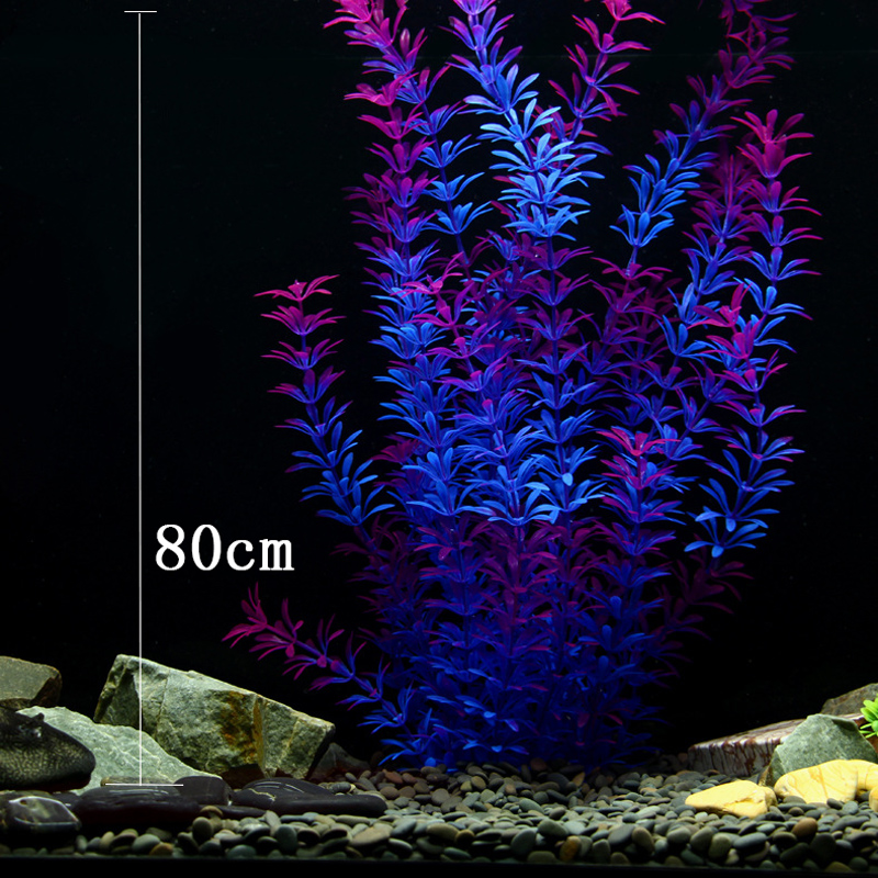 100Cm Thực Vật Nhiệt Đới Lớn N - đánh giá và giá Aquarium Plant Grass