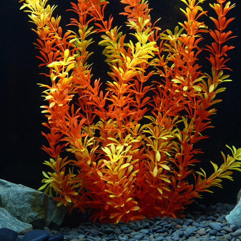 100Cm Thực Vật Nhiệt Đới Lớn N - đánh giá và giá Aquarium Plant Grass
