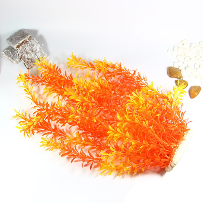 100Cm Thực Vật Nhiệt Đới Lớn N - đánh giá và giá Aquarium Plant Grass