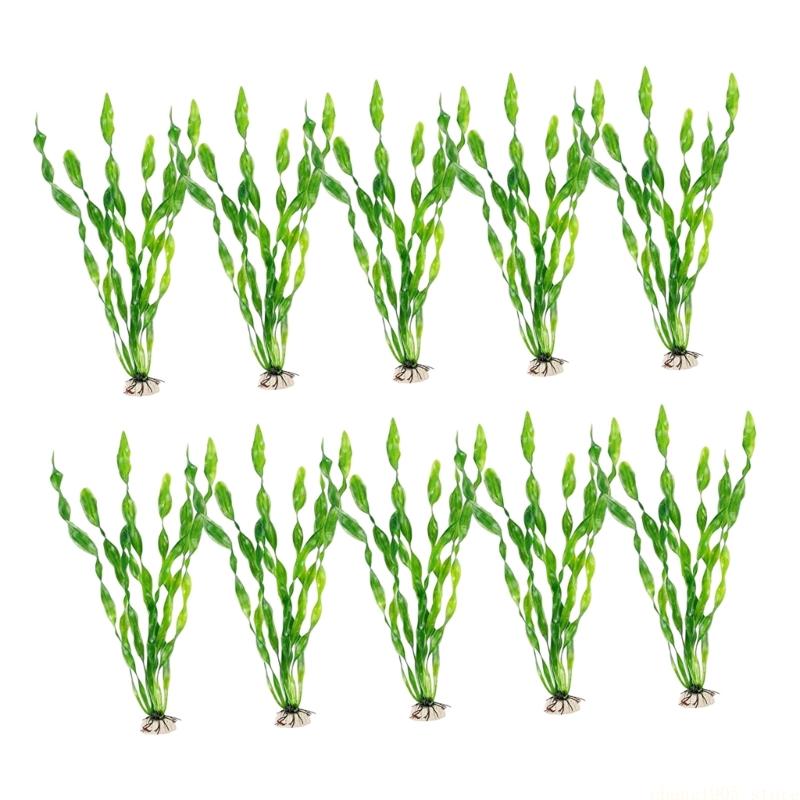 QX2E 10 Cái Cây Nước Hình Xoắn - đánh giá và giá Planted Aquarium Maintenance