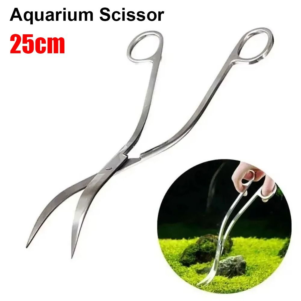 1Pcs Stainless Steel Aquarium  - đánh giá và giá Planted Aquarium Tools