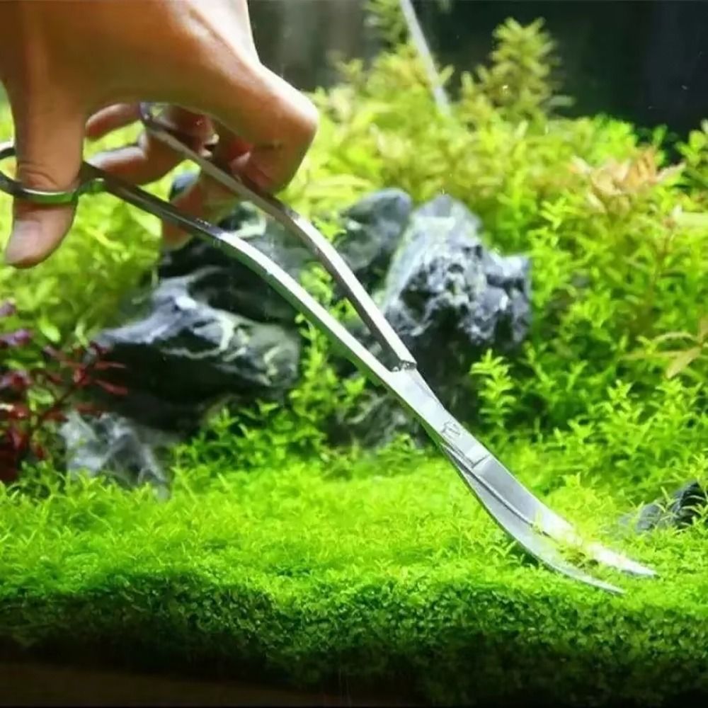 1Pcs Stainless Steel Aquarium  - đánh giá và giá Planted Aquarium Tools