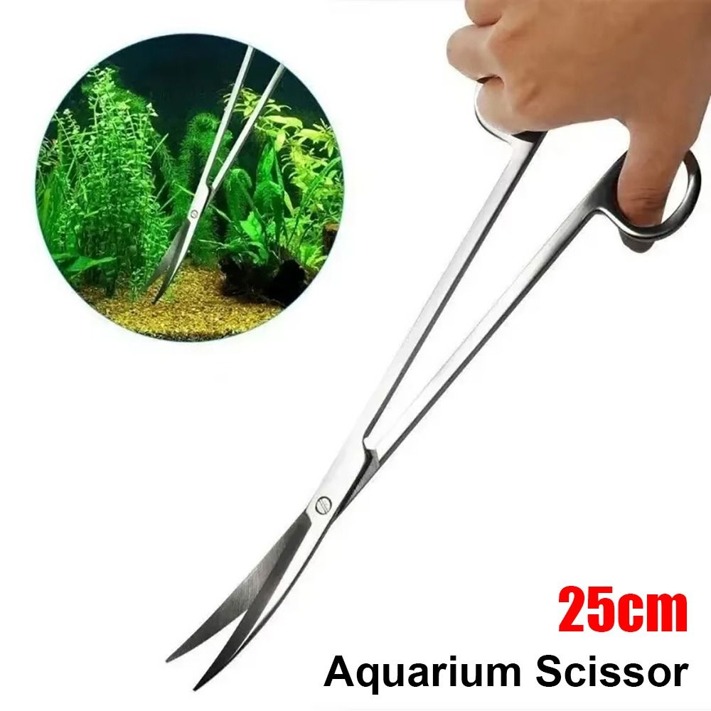 1Pcs Stainless Steel Aquarium  - đánh giá và giá Planted Aquarium Tools