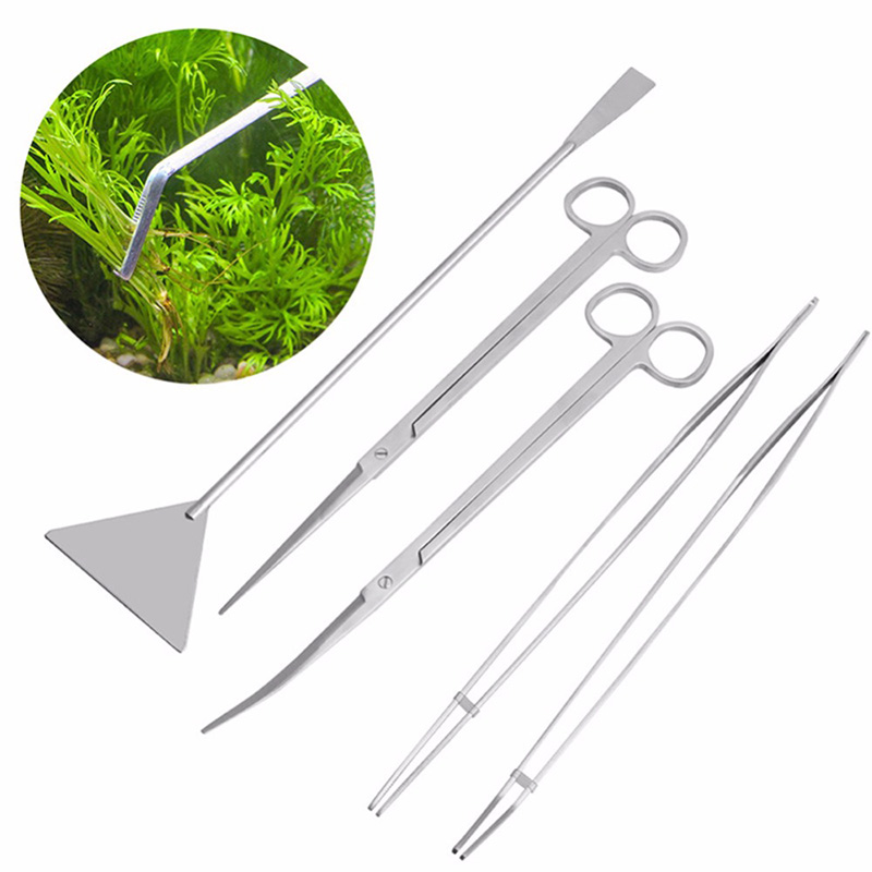 Professional Aquarium Maintena - đánh giá và giá Planted Aquarium Maintenance