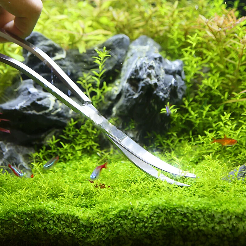 Aquarium Scissor Tools Fish Ta - đánh giá và giá Planted Aquarium Tools