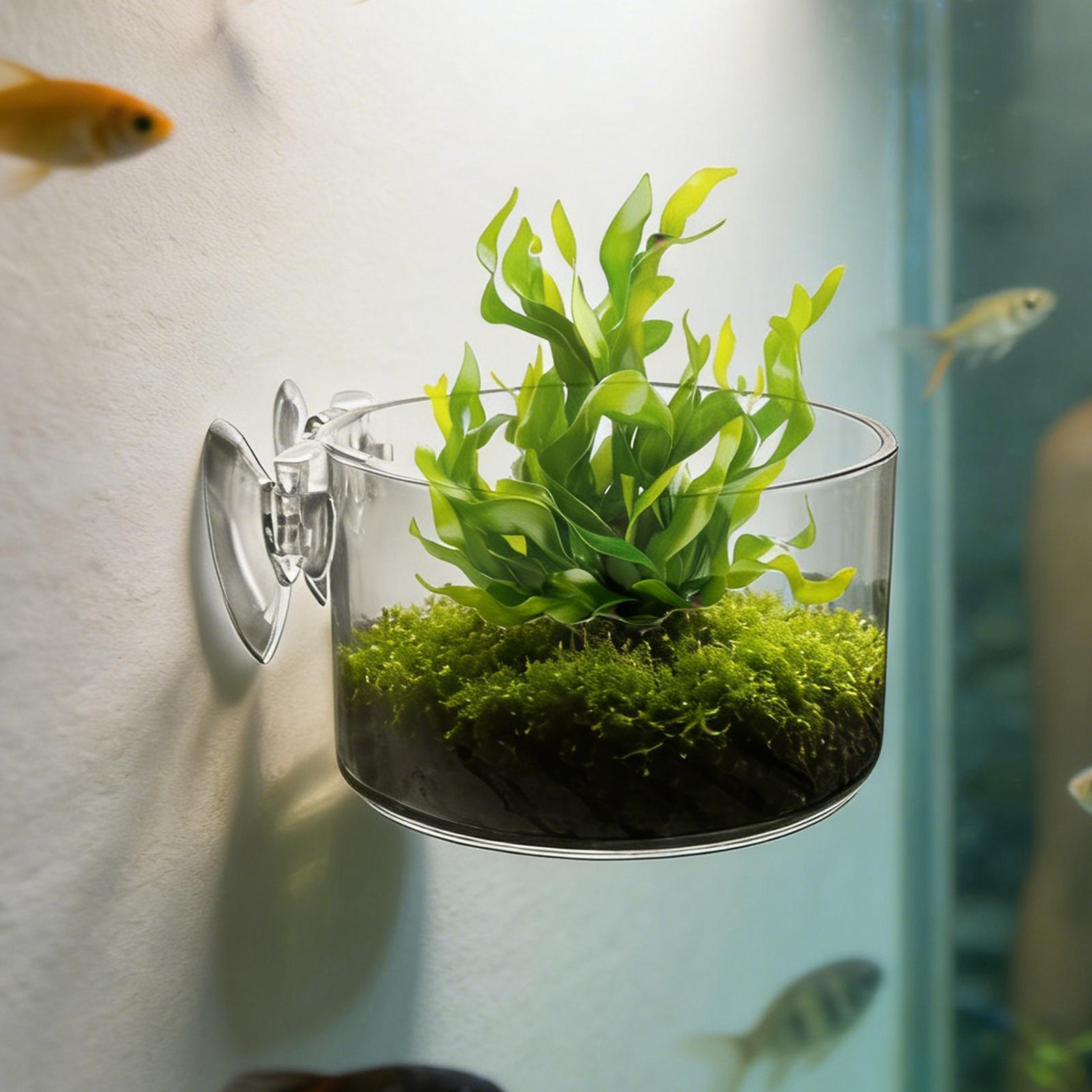 Acrylic Aquarium Plant Holder  - đánh giá và giá Aquarium Planted Background