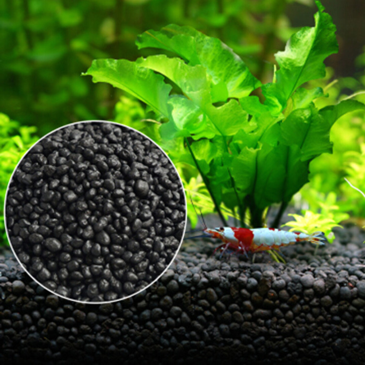 Bể Cá Cảnh Vật Có Hạt Đất Fish - đánh giá và giá Aquarium Plant Grass