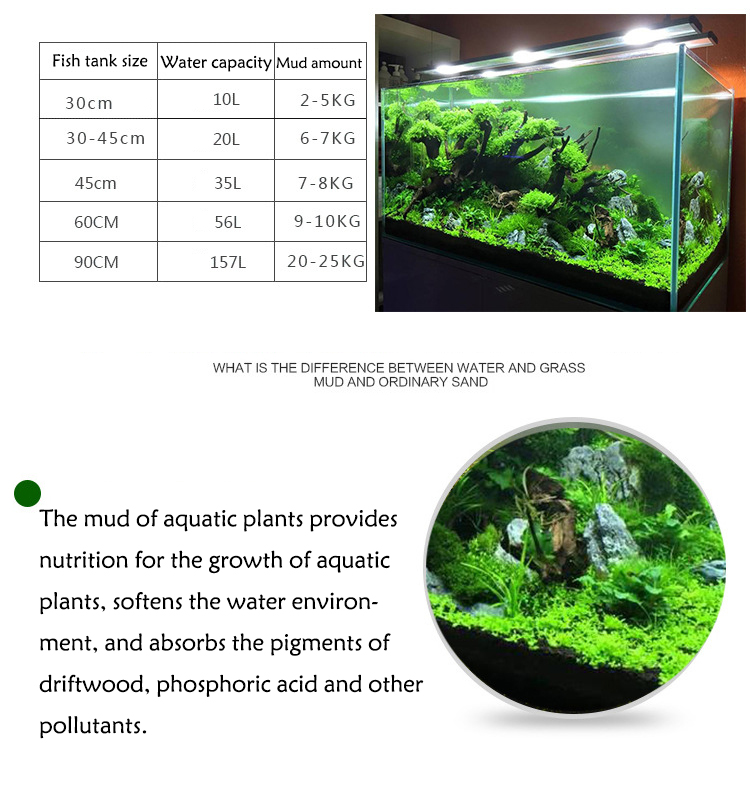 Bể Cá Cảnh Vật Có Hạt Đất Fish - đánh giá và giá Aquarium Plant Grass