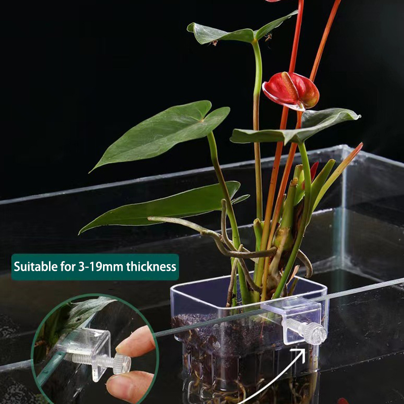 Multifunctional Fish Aquarium  - đánh giá và giá Aquarium Plant Grass