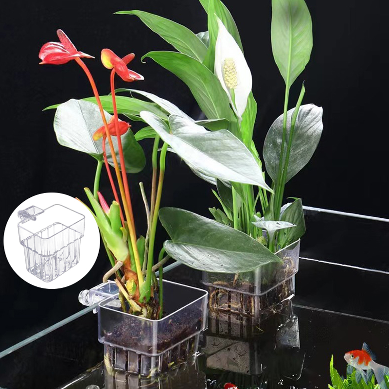 Multifunctional Fish Aquarium  - đánh giá và giá Aquarium Plant Grass