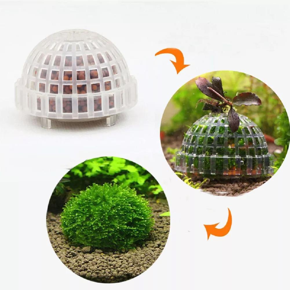 1pc Aquatic Pet Supplies Decor - đánh giá và giá Planted Aquarium Maintenance