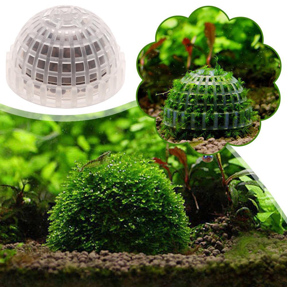 1pc Aquatic Pet Supplies Decor - đánh giá và giá Planted Aquarium Maintenance
