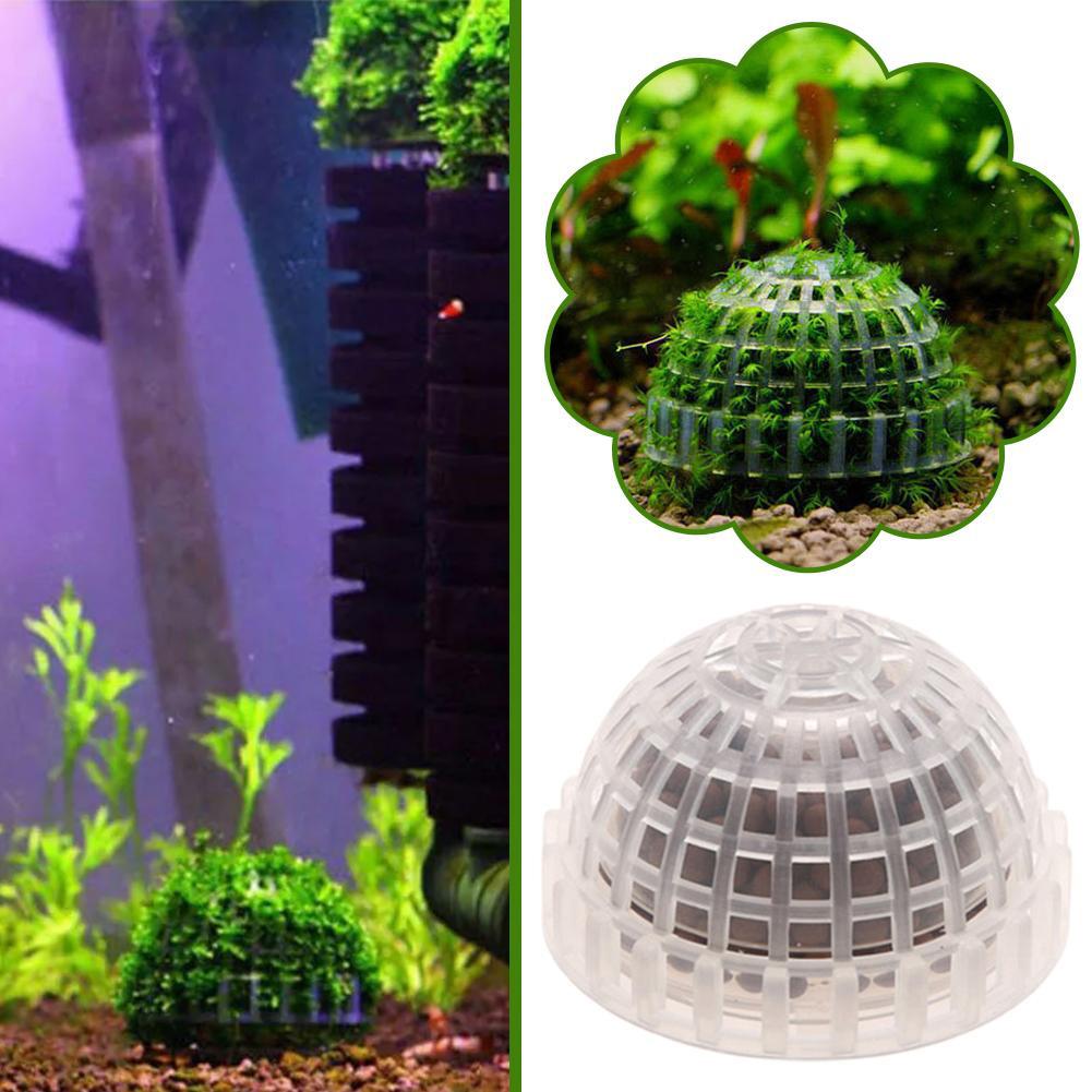 1pc Aquatic Pet Supplies Decor - đánh giá và giá Planted Aquarium Maintenance