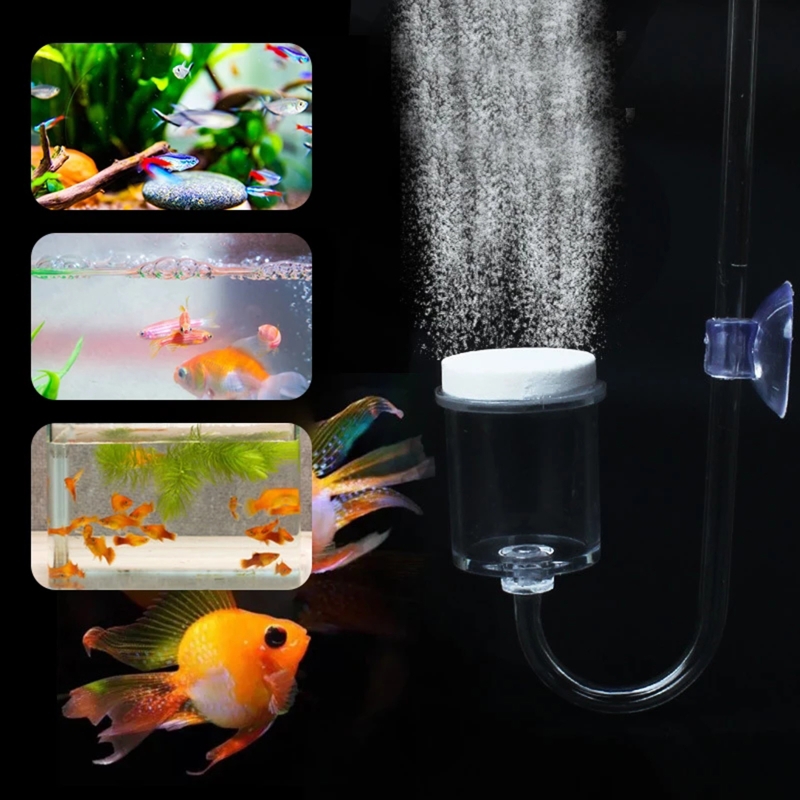 4pcs Set DIY CO2 Diffuser For  - đánh giá và giá Planted Aquarium Maintenance